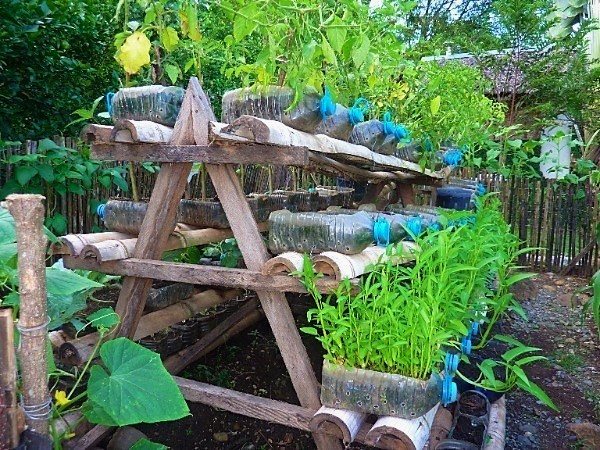 small-vegetable-garden-ideas-philippines-gaby-serra